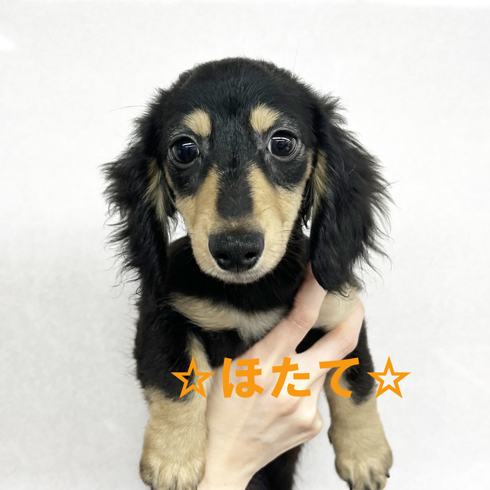 新しい仲間が増えました♪